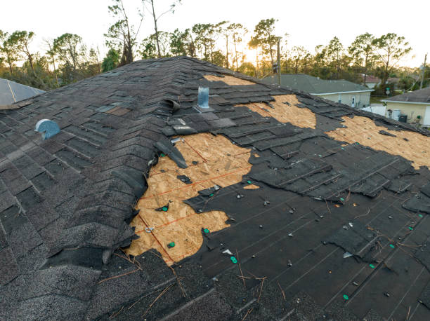 Best Roof Moss and Algae Removal  in Kingstowne, VA